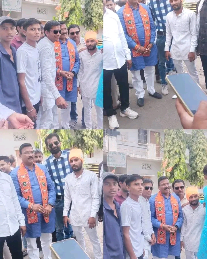 संगठन कार्यक्रम 