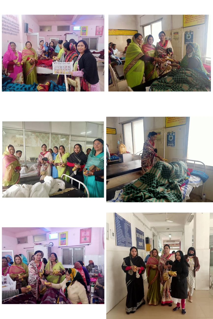 संगठन कार्यक्रम 